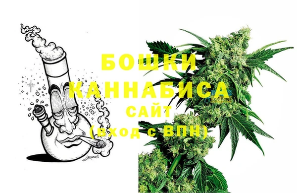 индика Красноперекопск