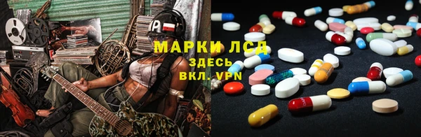 сатива Костерёво