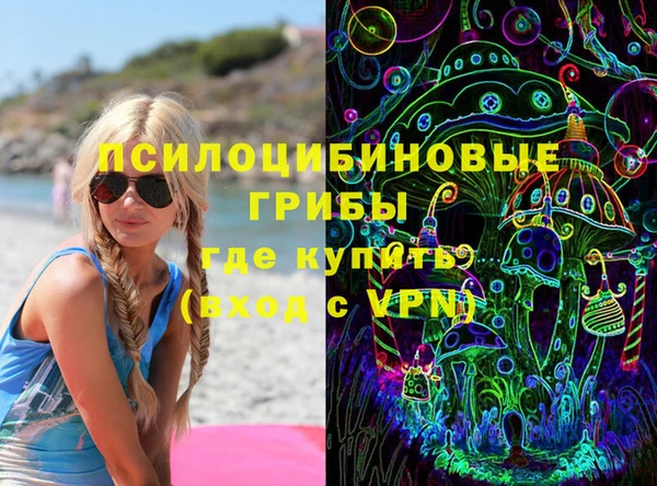 индика Красноперекопск