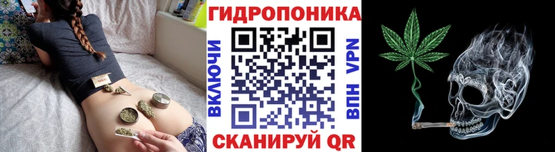 купить наркотик  Юрьевец  Каннабис SATIVA & INDICA 